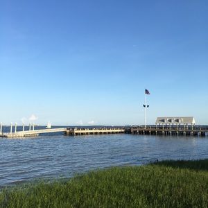 Meet your Posher, Frank